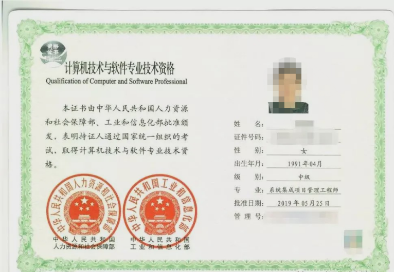 系统集成项目管理工程师.png