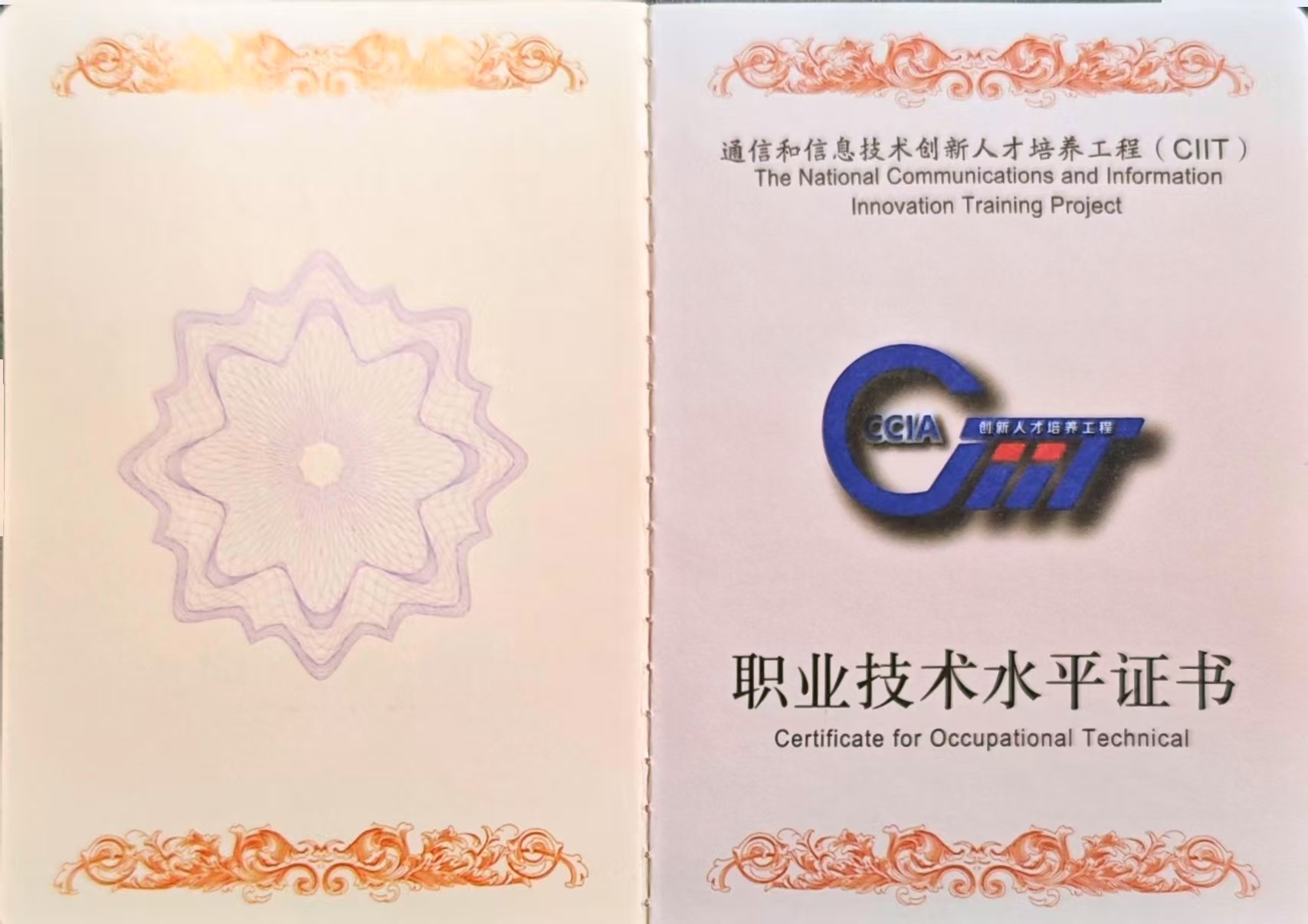 样本.jpg